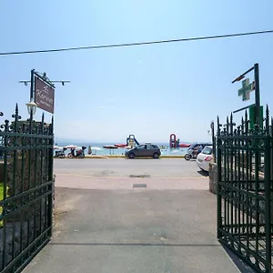 Mgi