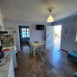 Apartment Aurora Mansion *