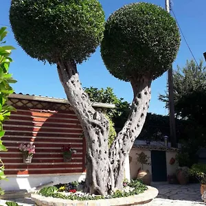 Flowers Гостевой дом Бенитсес