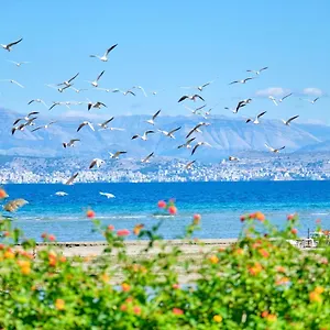 Apart Otel Nikos Kalamaki Corfu