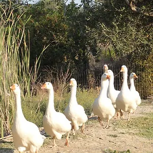 Séjour à la ferme Aroggia Farm Xanthátai