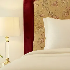 Old Town Luxury 'lady' Apartment