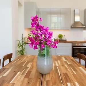 Apartment Dal Dottore
