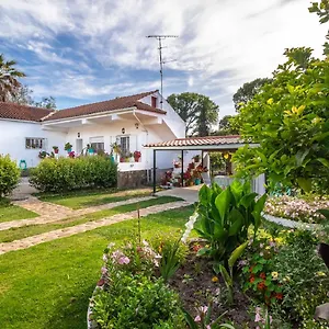 Case de vacanță Efi's Marathias