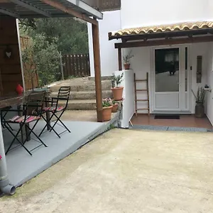 Country Flat Maria *