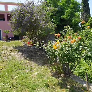 Corfu Galini *