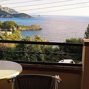 Vassilis