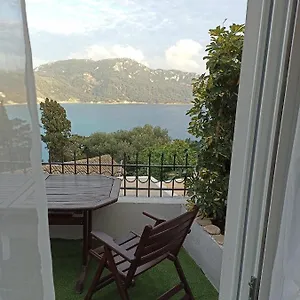 Vita Vi