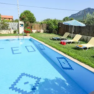 Teo Villa