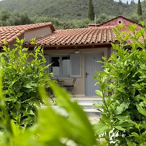 Apartment Olga's Sea View - 500m From Ipsos