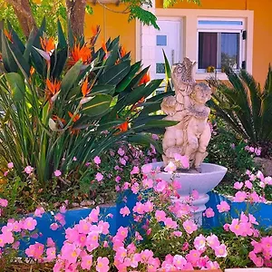 Iris Near Corfu Town