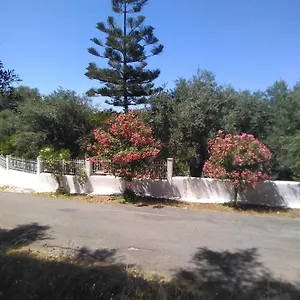 καταπράσινο περιβάλλον Villa