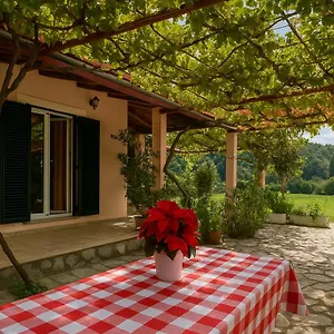 Σπίτι διακοπών Yard Family Sidari Corfu *