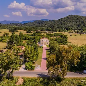 Martini * Vátos