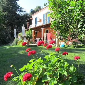 Holiday home Leena Paramonas (Corfu)