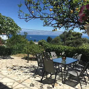 Dream View
