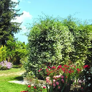Olga's Hill Vakantiehuis *